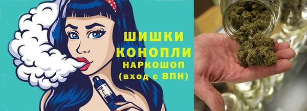 прущие грибы Вязники