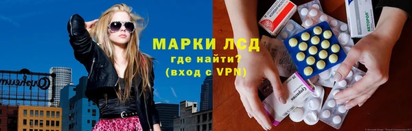 прущие грибы Вязники