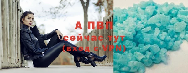 мдпв Вяземский