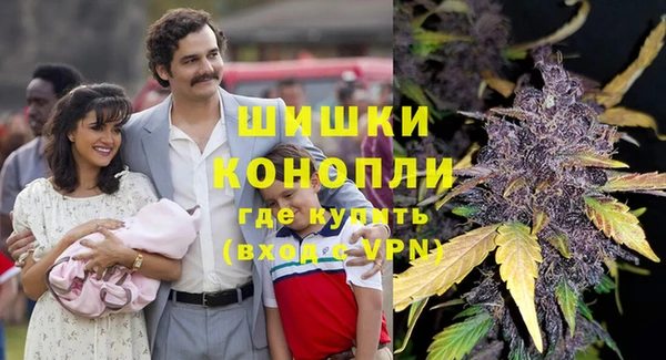 прущие грибы Вязники