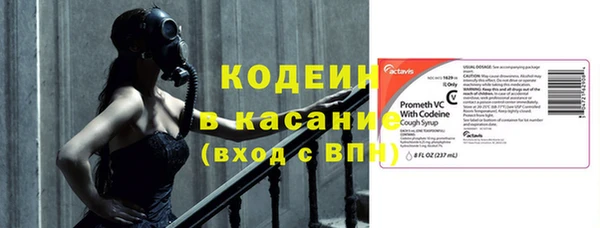 мдпв Вяземский