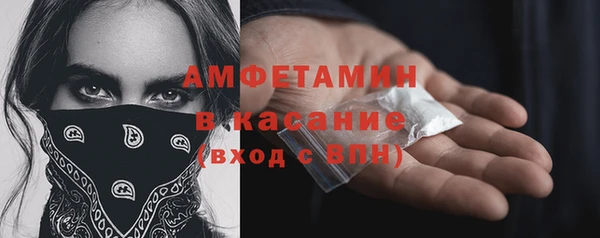 мдпв Вяземский