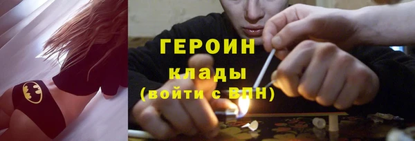прущие грибы Вязники