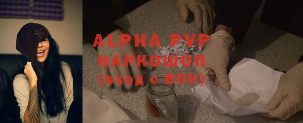 прущие грибы Вязники