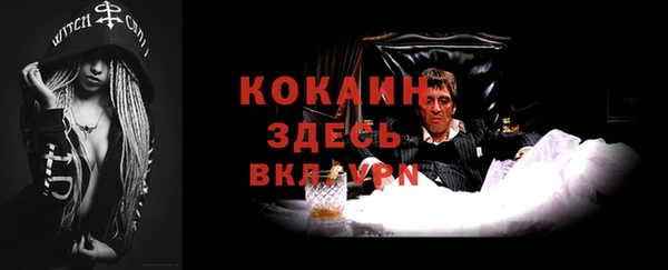 мдпв Вяземский