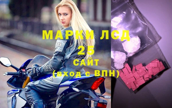 прущие грибы Вязники
