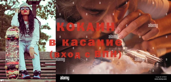 мдпв Вяземский