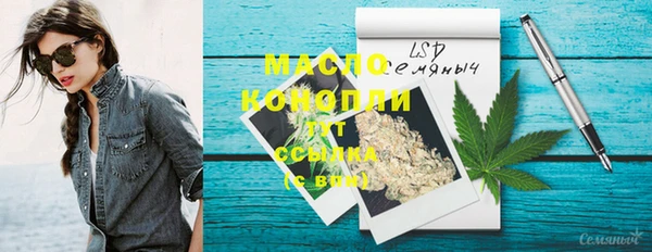 прущие грибы Вязники