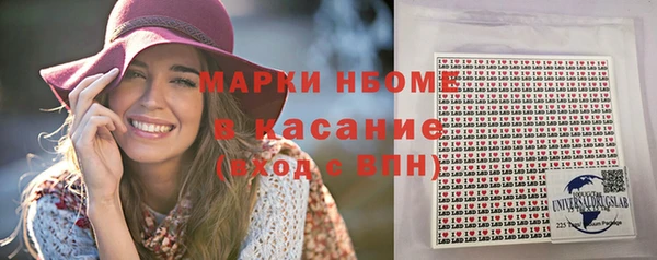 мдпв Вяземский