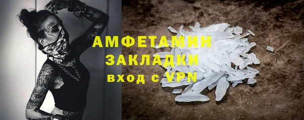 прущие грибы Вязники