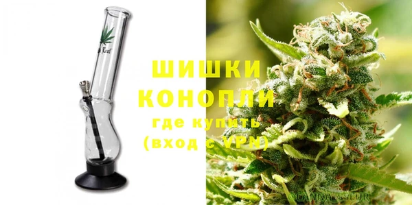 мдпв Вяземский