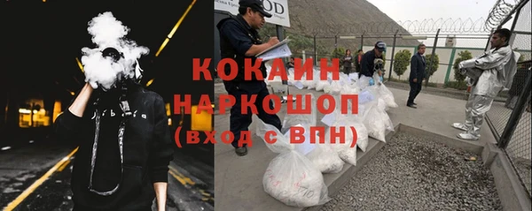 прущие грибы Вязники