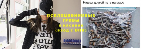 мдпв Вяземский
