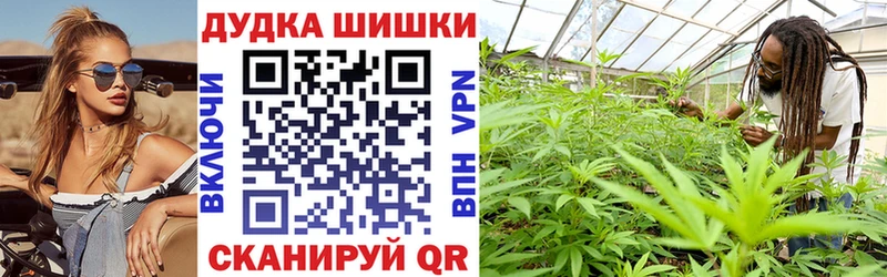 закладки  Улан-Удэ  blacksprut как войти  Шишки марихуана THC 21% 